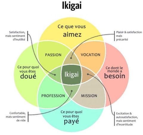 Lire la suite à propos de l’article Trouvez votre IKIGAI